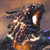 :iconaddonexus13: