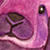 :iconaddy8d: