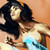 AdeJ-Art :iconadej-art:
