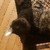 :iconadeleverlinden: