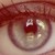 :iconadelless: