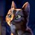 :iconAdeptus-Noctem: