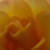 :iconadermann: