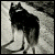 :iconadhesivemonkeys: