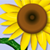 :iconadi4x: