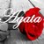 :iconadiana023: