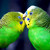 :iconadidaspurplegreen: