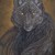 :iconadirondackwolf0111: