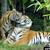 :iconadityawisnuaji: