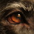 :iconadlex: