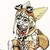 :iconadmhire: