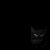 :iconadmincruxh: