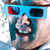 :iconadmiralpotato: