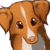 :iconadolly: