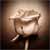 :iconadonisl:
