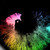 :iconadoptpet: