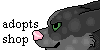 :iconadopts-shop: