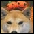 :iconadorablegumball: