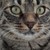 :iconadorablemusings: