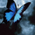 :iconadoringbeast: