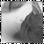 :iconadoriqua: