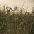 Adressat :iconadressat: