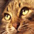 :iconadri90: