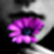 :iconadrianaoliveira81: