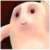 :iconadrianpatrick: