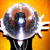 :iconadribud: