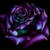 :iconadriengriffon: