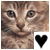 :iconadrienne07: