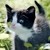 :iconadrienne8588: