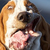 :iconadurrplz: