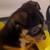 :iconadventure-time-freak:
