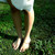 :iconadventuredocumenter: