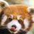 :iconadventurefunpiegirl: