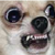 :iconadventurerfan: