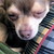 :iconadventuresofdarian: