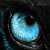 :iconadventurous-wolf: