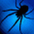 :iconadwiser: