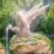 :iconadylith: