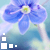 :iconaelkarinque: