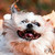 :iconaelshaartist: