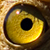 :iconaengys-stock: