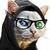 :iconaeon-phoenix: