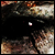 :iconaequiiibrium:
