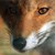 :iconaerial-sars:
