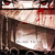 aeris-guardian :iconaeris-guardian: