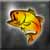 :iconAerobow:
